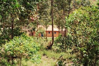 d81ef4ae-1e56-4b83-a3d5-0d61ef0e8aa7-520-000000130f759b4d